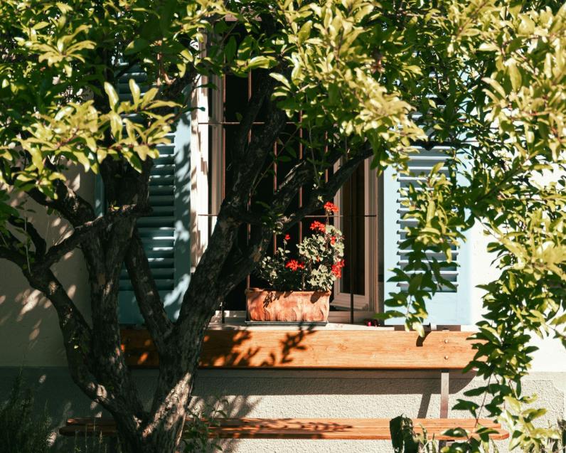 © Marco De Gregorio / Unsplash