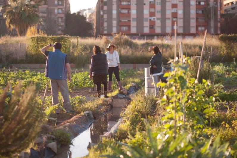 Valencia, de huidige Europese Groene Hoofdstad © City of Valencia
