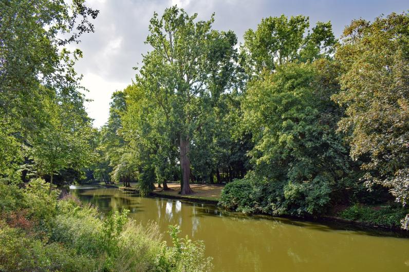 Ook stadsgroen valt onder de Natuurherstelwet (Brugge). © D. Vestikas / Pixabay