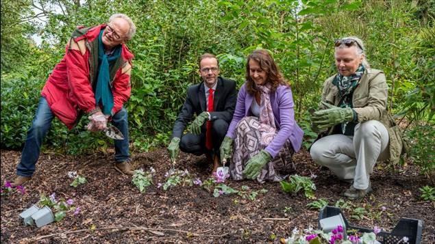 Sloveense Ambassadeur in Arboretum Kalmthout
