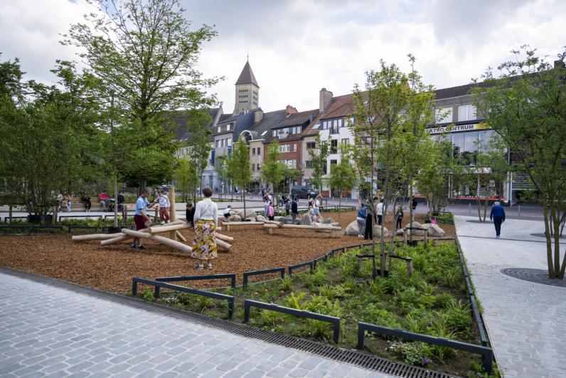 Stadsbos op de Grote Markt in Genk foto 2 © Stad Genk 