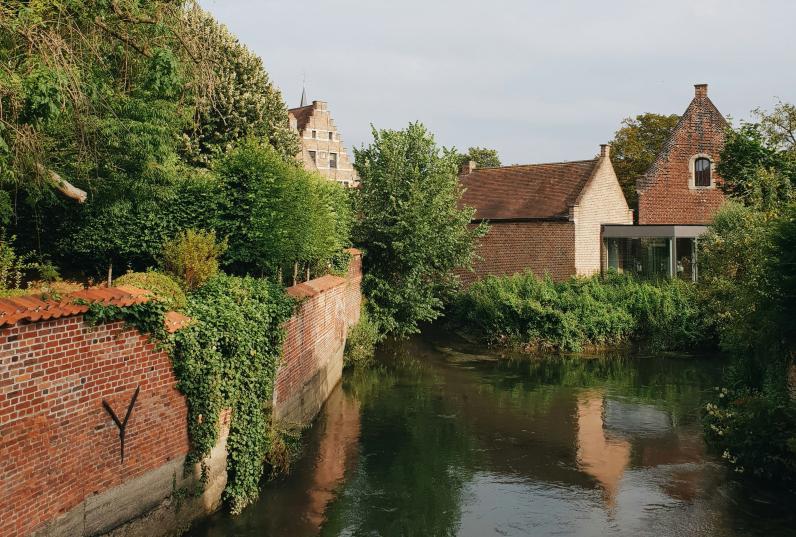 De Dijle in Leuven © Vasily Malygin / Unsplash