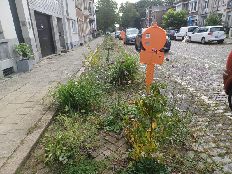 Bij de herinrichting van straten is het opgeven van parkeerplaatsen een gevoelig thema. © Jan Vilain [ruimtereporter]