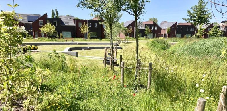 Zitelementen in het Maaike Kerrebroeckpark, Brugge. Dit project won de Groenaannemer-award 2024 © Katrien Verhaegen