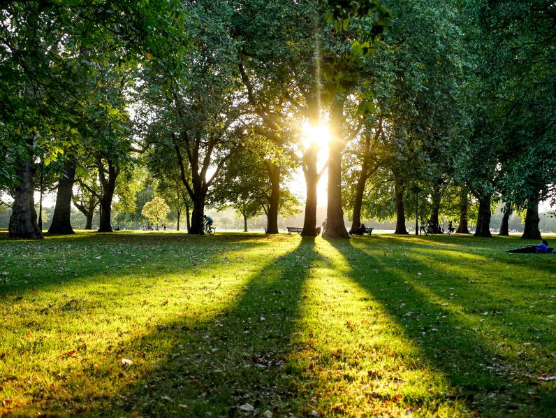 Hyde Park, Londen © V2F Unsplash