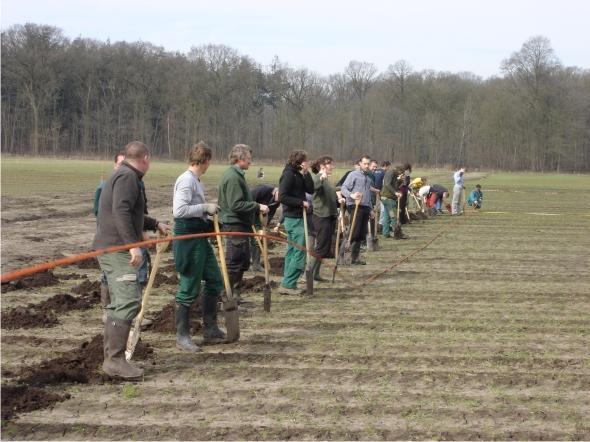 De bosaanplanting in het Vloethemveld, maart 2010. © FORBIO