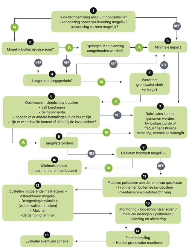 Stroomschema bronbemaling © Bomen Beter Beheren