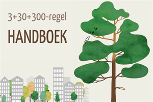 Cover van het Handboek 3+30+300