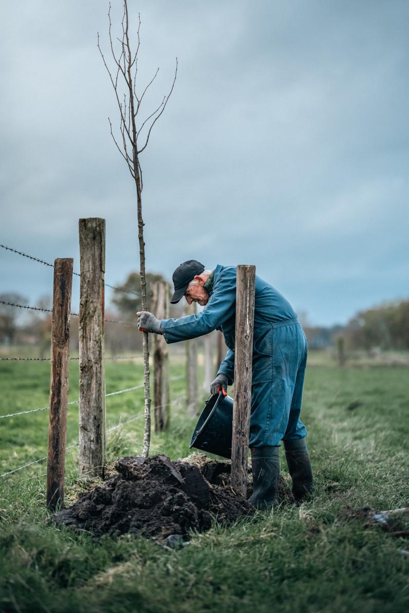 Kleine landschapselementen zoals hagen, houtkanten en bomenrijen geven het landschap van Malle meer structuur en versterken de ecologische samenhang tussen natuurgebieden. © Provincie Antwerpen