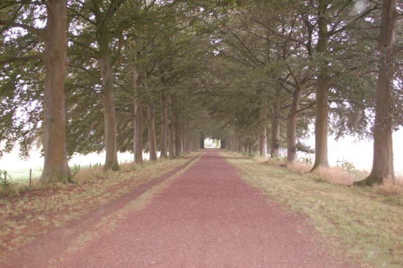 Park Kasteel van Bovelingen (illustratiebeeld) © Beeldbank Agentschap Onroerend Erfgoed