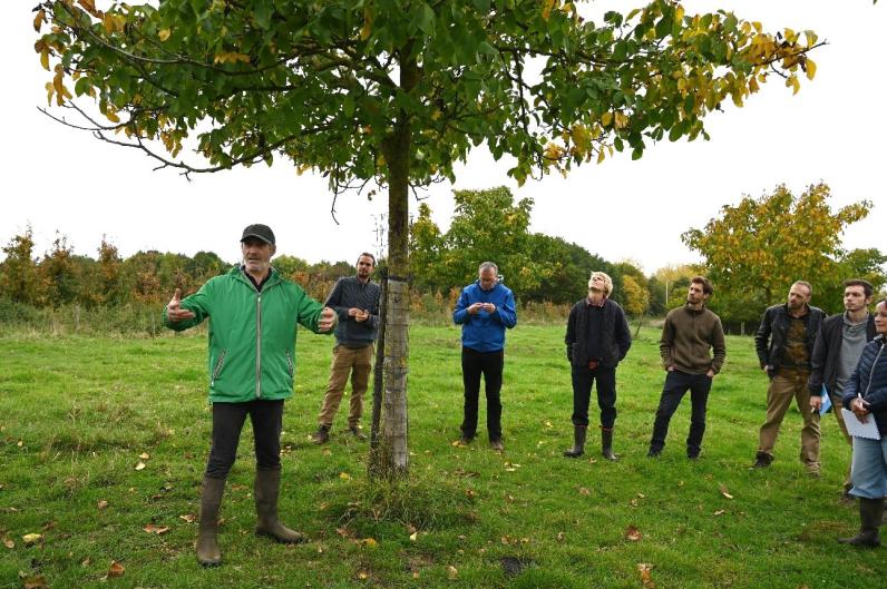 Illustratiebeeld © Agroforestry Vlaanderen