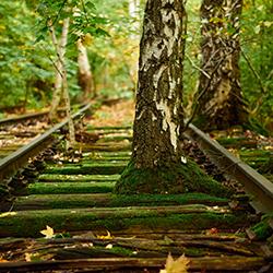 Natuurpark Südgelände in Berlijn wint International Carlo Scarpa Prize for Gardens