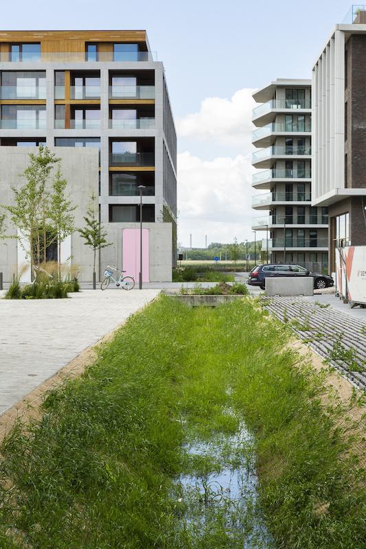 Zeg niet zomaar gracht tegen een wadi