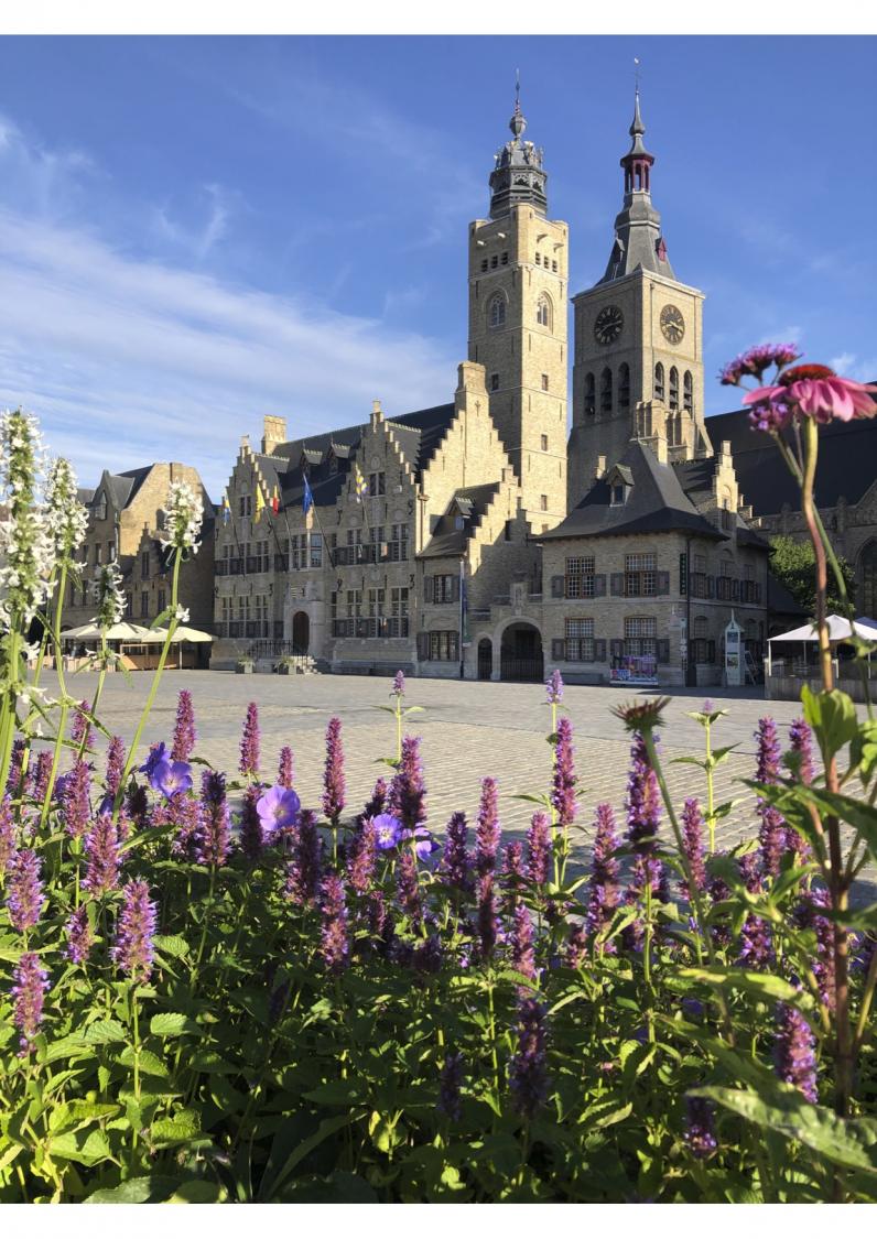 Vakjury Entente Florale Europe op bezoek in Diksmuide