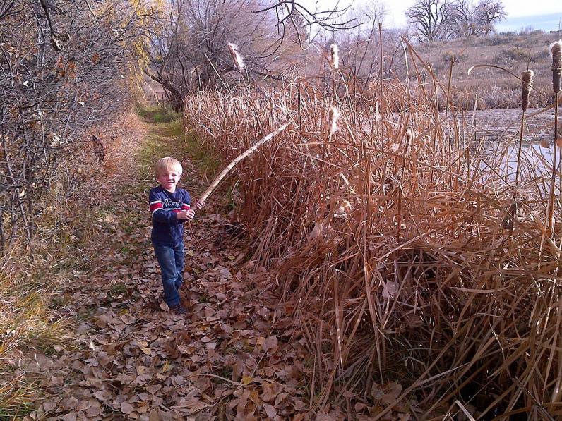 Drop in Nature Kids © USFWS Mountain Prairie