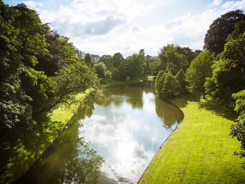 Open Brief over herstel vijver in Stadspark Antwerpen