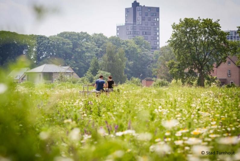 Departement Omgeving lanceert 10 kernkwaliteiten van de leefomgeving