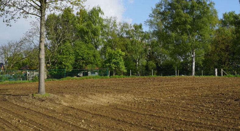 Elke boer zijn eigen bosje van 1 hectare