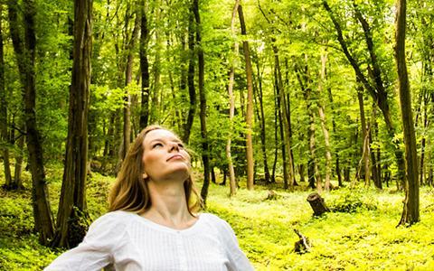 Vlaanderen krijgt eerste natuuroases om te bosbaden