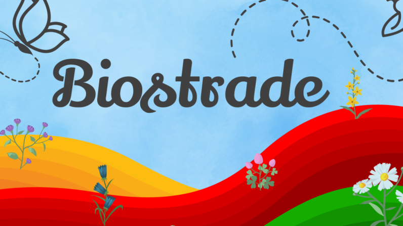 Vlaams Bijeninstituut lanceert ‘Biostrades’