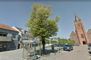 Gratis webinar Beslis-bomen
