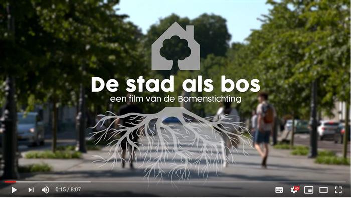 Bomenstichting lanceert film ‘De stad als bos’