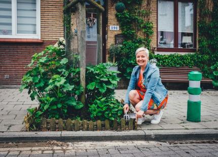 Hasselt zoekt adoptie-ouders voor openbaar groen