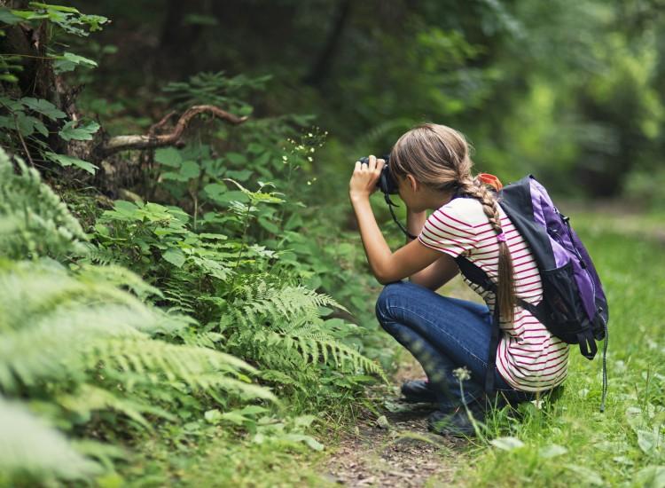 Studiedag | Praktijkgericht Actieplan voor Natuur en gezondheid