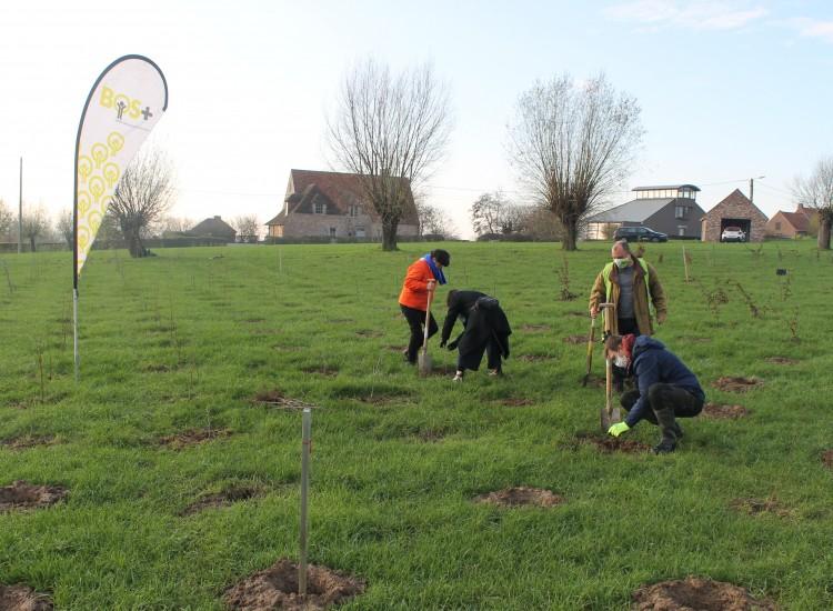 Provincie Oost-Vlaanderen compenseert vliegreizen met bos