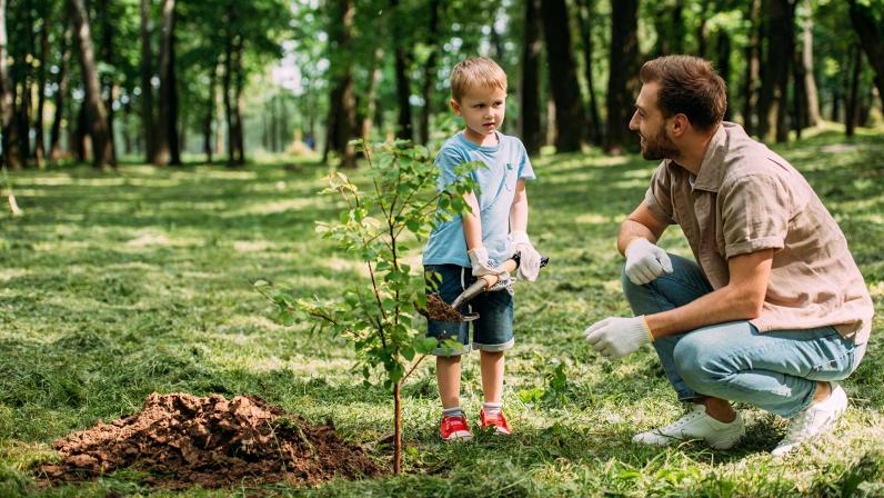 Minister Demir wil 4.000 hectare extra bos