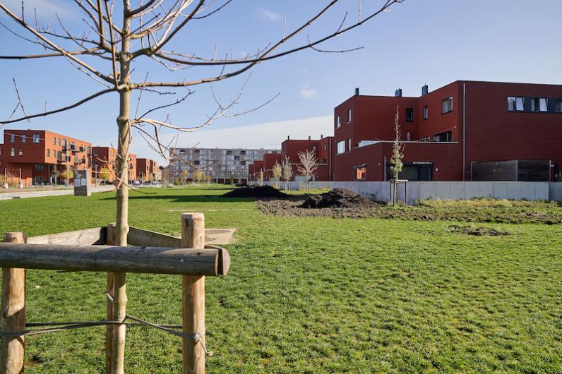 Stad Leuven plant derde buurtbos