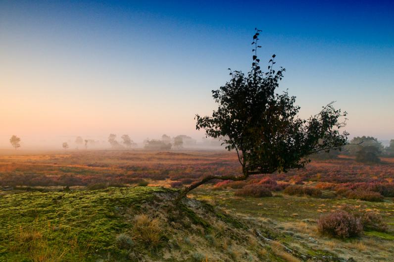 Groot aantal organisaties engageert zich voor sterke landschappen in Vlaanderen