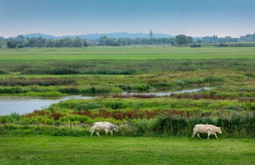 Water+Land+Schappen: 12,7 miljoen euro voor 43 gemeenten