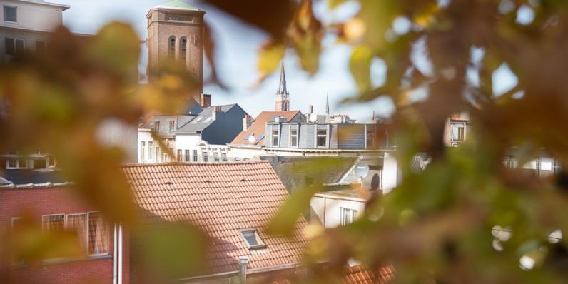 Antwerps daktuinenfestival DAKkan