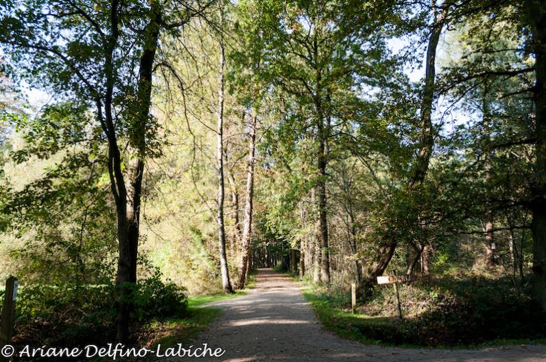 Green Flag Award voor zes parken in provincie Antwerpen