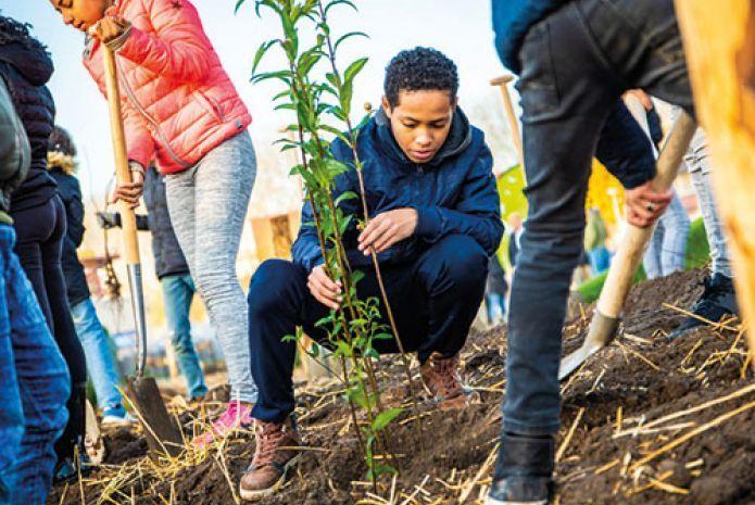Oudenaarde krijgt eerste Tiny Forest