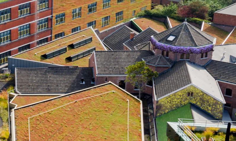EcoCities: groenwanden en groendaken, bron voor onze toekomst
