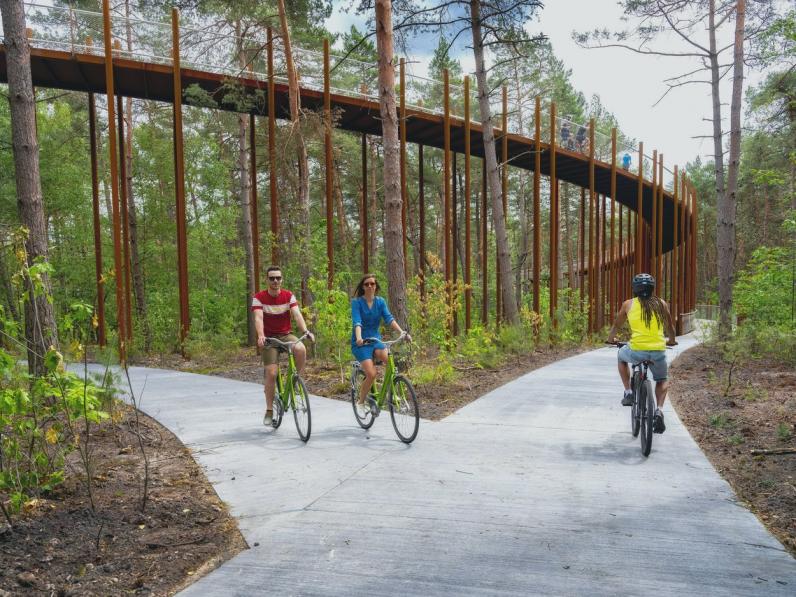 ‘Fietsen door de bomen’ wint Dezeen Award 2020