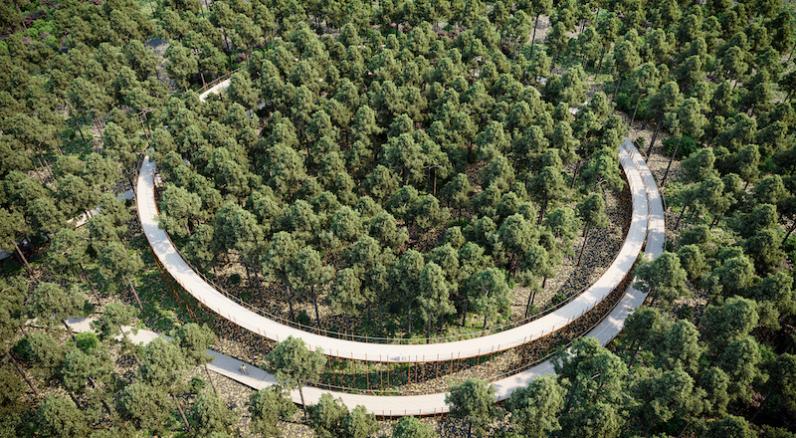 ‘Fietsen door de bomen’ geselecteerd als Best Architectural Project 2019