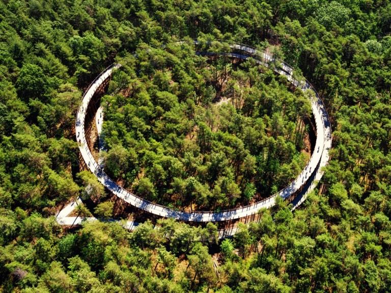 Fietsen door de Bomen wint goud in Los Angeles