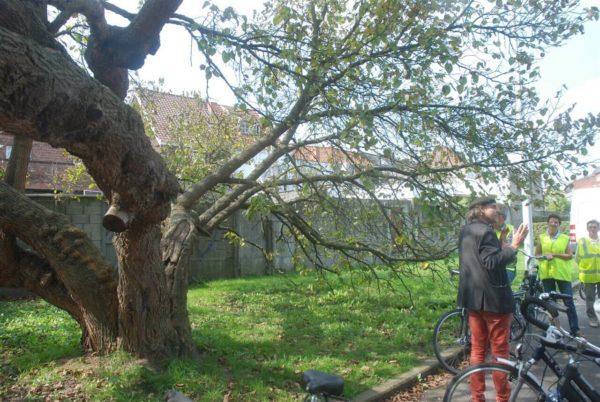 Aalst / Fietstocht klimaatbewust aanplanten