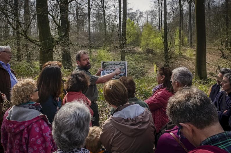 Dag van het Zoniënwoud 2020