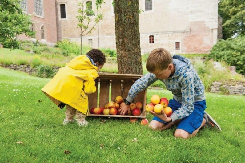 Fruit in openbaar groen