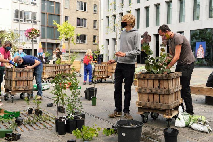 Antwerpen / Rollend voedselbos tegen verharding