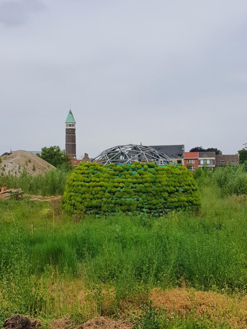 Beesphere, een kruisbestuiving tussen kunst en ecologie