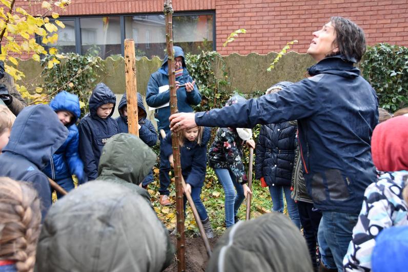 1 miljoen bomen en struiken na 25 jaar ‘Behaag onze Kempen’