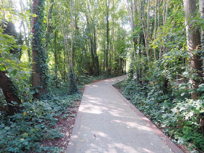 Bloemekenspark in Gent wint Groenaannemer-award