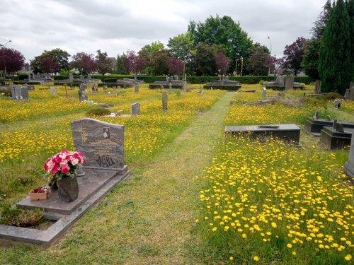 Stad Gent zet in op groene begraafplaatsen