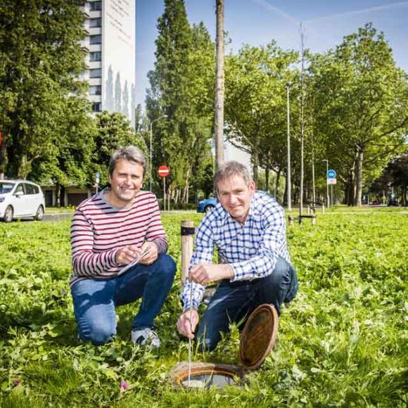 Bomen krijgen watervoorraad tegen verdroging