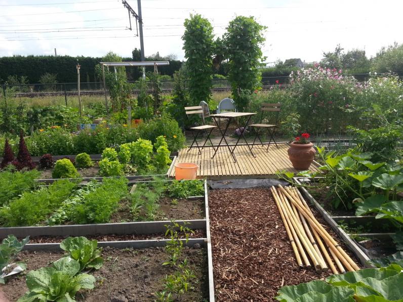 Wijktuin De Tesch in Hasselt